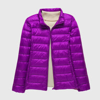 Purple Stand Collar