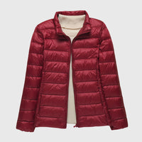 Burgundy Stand Collar